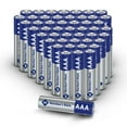 thumbnail image 3 of Member's Mark AAA Alkaline Batteries, 48 pk., 3 of 8