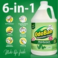 thumbnail image 4 of OdoBan Disinfectant & Odor Eliminator, Eucalyptus 1 gal. concentrate + 32 oz. Ready-to-Use Spray, 4 of 10