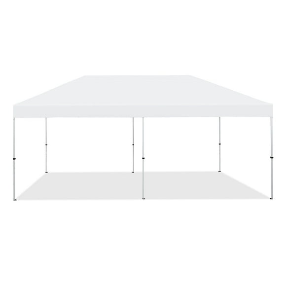 Member's Mark 10'x20' Instant Canopy with EasyLift Technology