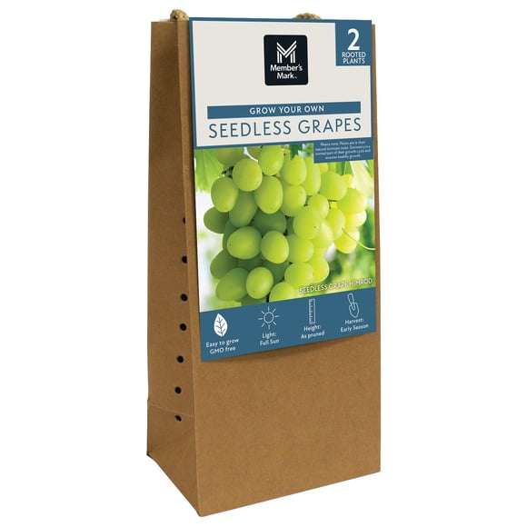 Member's Mark Grape Himrod White Seedless, 2pk