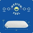thumbnail image 2 of Sealy Dreamlife Medium Memory Foam Pillow, 2 of 8