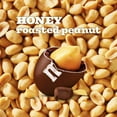 thumbnail image 5 of M&M'S Honey Roasted Peanut Milk Chocolate Candy, Resealable Pack, 26 oz., 5 of 8