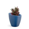 thumbnail image 2 of Mayne Modesto Round Planter, Choose Size, 2 of 9