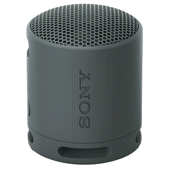 Sony SRSXB100 Bluetooth Portable Speaker