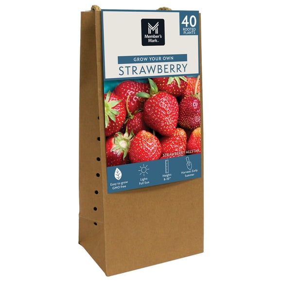 Member's Mark Strawberry Allstar, 40pk
