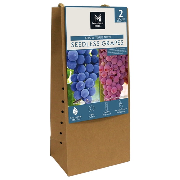 Member's Mark Grape Seedless Candice & Concord, 2pk