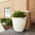 thumbnail image 4 of Mayne Modesto Round Planter, Choose Size, 4 of 8