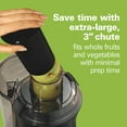 thumbnail image 4 of Hamilton Beach 800 Watt Easy Clean Juice Extractor with Easy Sweep Cleaning Tool, 4 of 8