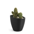 thumbnail image 2 of Mayne Modesto Round Planter, Choose Size, 2 of 9