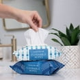 thumbnail image 4 of Member's Mark Flushable Wipes, Fresh Scent, 540 ct., 4 of 11
