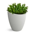 thumbnail image 1 of Mayne Modesto Round Planter, Choose Size, 1 of 8