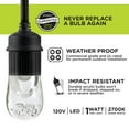 thumbnail image 5 of EcoScapes 36' LED Shatterproof Cafe String Lights, 18 Bulbs, 5 of 9