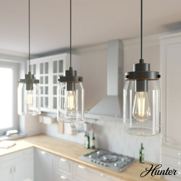 Hunter Devon Park with Clear Glass Ceiling Light Fixture