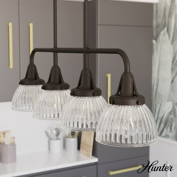 Hunter Cypress Grove with Clear Holophane Glass 4 Light Chandelier Ceiling Light Fixture