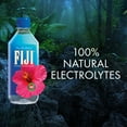thumbnail image 5 of FIJI Natural Artesian Water, 16.9 fl. oz., 24 pk., 5 of 9
