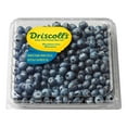 thumbnail image 1 of Blueberries, 18 oz., 1 of 6