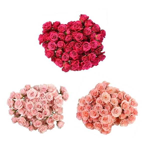 Member's Mark Spray Roses, color and variety may vary