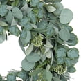 thumbnail image 4 of Member’s Mark 30" Eucalyptus Wreath, 4 of 4