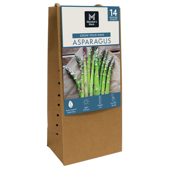 Member's Mark Asparagus Jersey Giant, 14pk