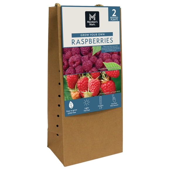 Member's Mark Raspberry Brandywine & Latham Red, 2pk