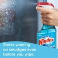 thumbnail image 4 of Windex Original Glass Cleaner, 1 spray bottle + 128 fl. oz. Refill, 4 of 6
