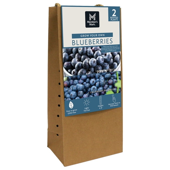 Member's Mark Blueberry Misty & Sharpblue, 2pk