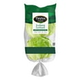 thumbnail image 1 of Iceberg Lettuce, 2 heads, 1 of 5