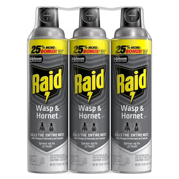 Raid Wasp & Hornet Killer 3ct, 17.5 oz.